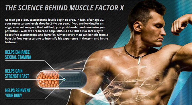 muscle factor x supplement